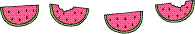 Watermelon illustration