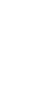 Tree illustration